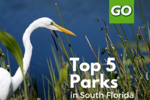 Top 5 Parks to Visit in South Florida